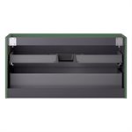 Adeline Forest 42" Single Vanity without Top