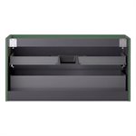 KIT - Adeline Forest 42" Single Vanity with Integrated Solid Surface Top