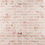 Close Out - The New Palm Beach by Krista Watterworth Brick Pink