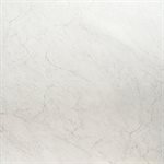 Lithe Carrara Giola 24x48 Polished