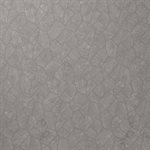 Motley Slate Gray Organic Pattern