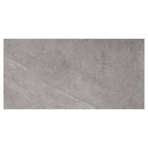 Motley Slate Gray 24x48 Matte